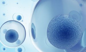 The Key to Healthy Aging: Hyperbaric Oxygen Therapy vs Stem Cell Therapy